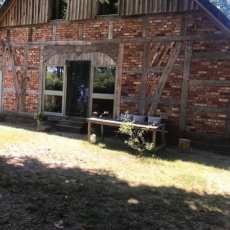 Gemuetliche Ferienwohnung An Der Elbe Bleckede Zewnętrze zdjęcie