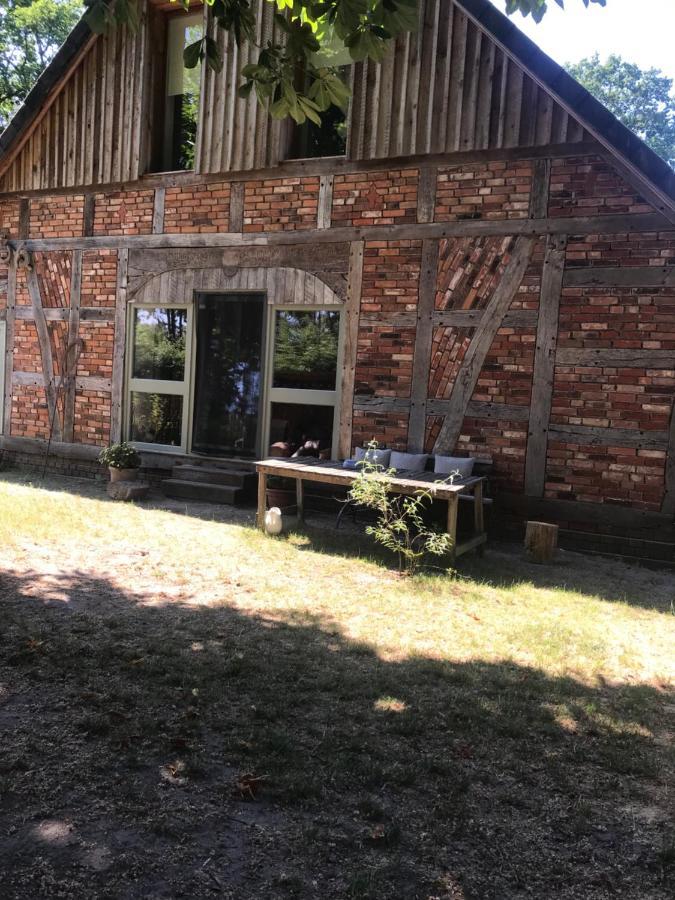 Gemuetliche Ferienwohnung An Der Elbe Bleckede Zewnętrze zdjęcie