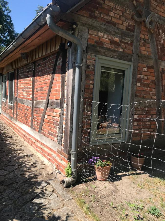 Gemuetliche Ferienwohnung An Der Elbe Bleckede Zewnętrze zdjęcie