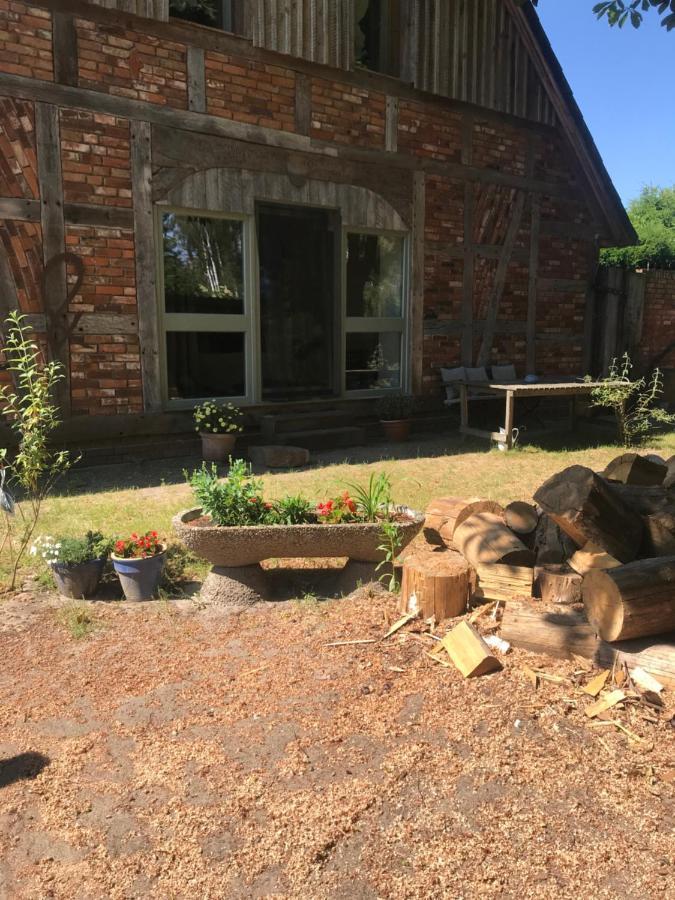 Gemuetliche Ferienwohnung An Der Elbe Bleckede Zewnętrze zdjęcie