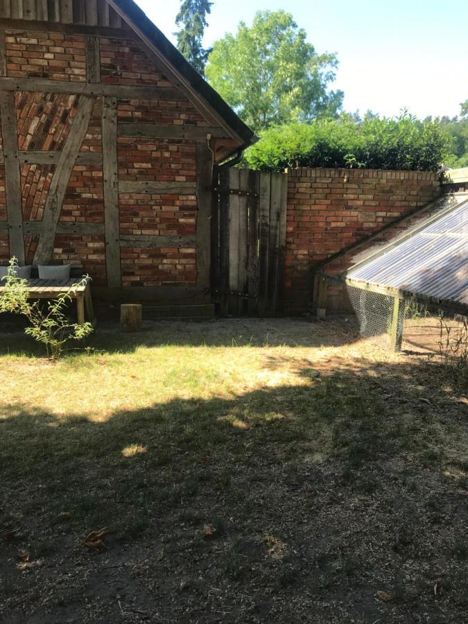 Gemuetliche Ferienwohnung An Der Elbe Bleckede Zewnętrze zdjęcie