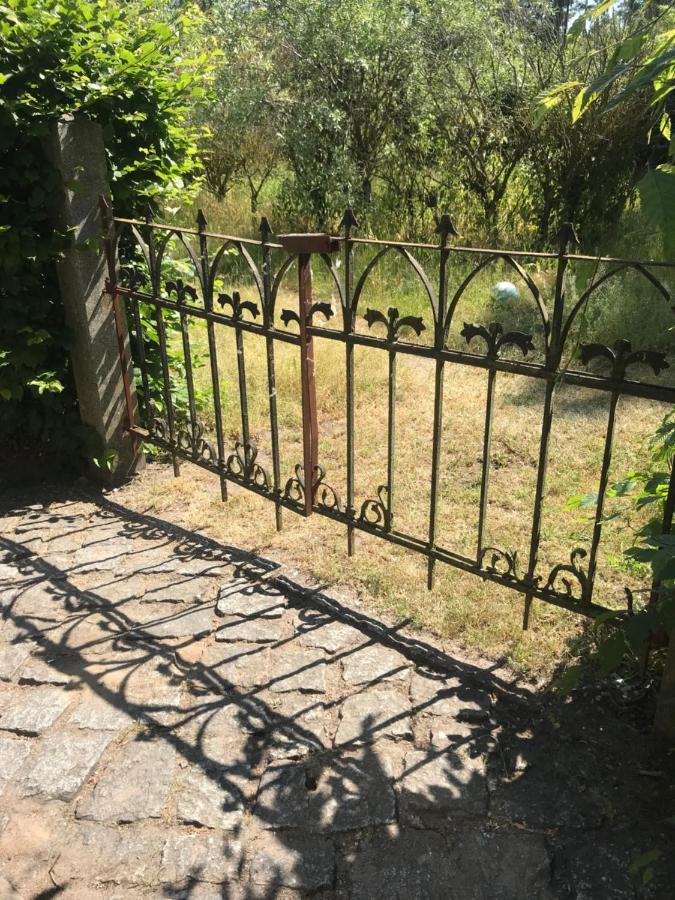 Gemuetliche Ferienwohnung An Der Elbe Bleckede Zewnętrze zdjęcie